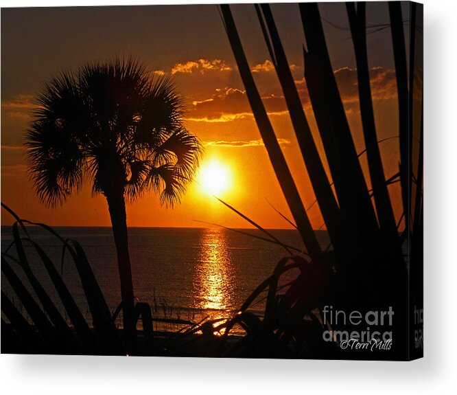Tropical Acrylic Print featuring the photograph Tropical Sunset by Terri Mills