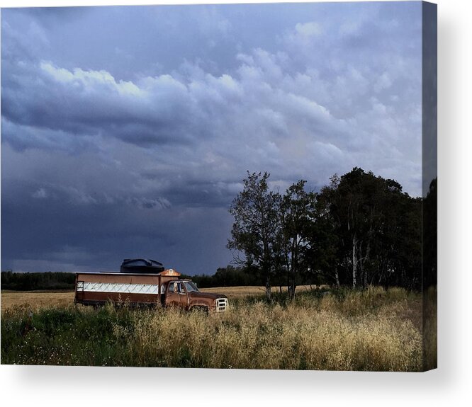     Wheat Photographs Acrylic Print featuring the photograph Truck by David Matthews