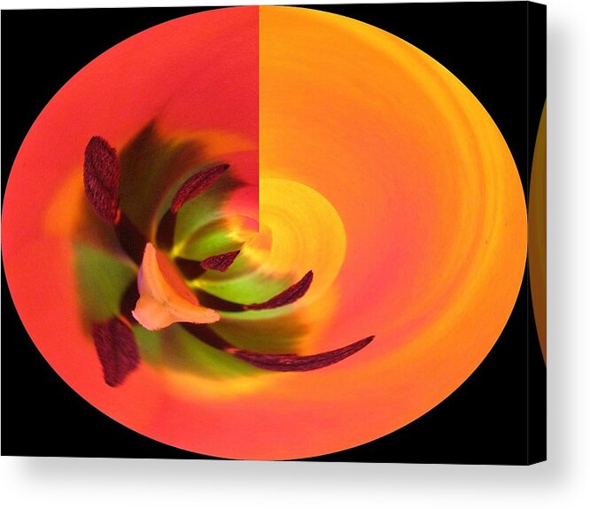 Abstract Acrylic Print featuring the photograph Tulip Mystery by Carolyn Jacob
