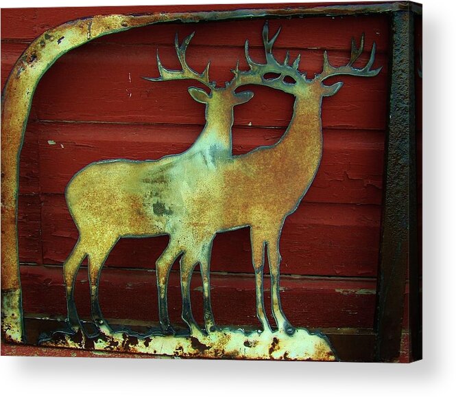 Deer Acrylic Print featuring the photograph Two Bucks 1 by Larry Campbell