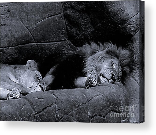 Mona Stut Acrylic Print featuring the photograph Twosome Relaxing BW by Mona Stut