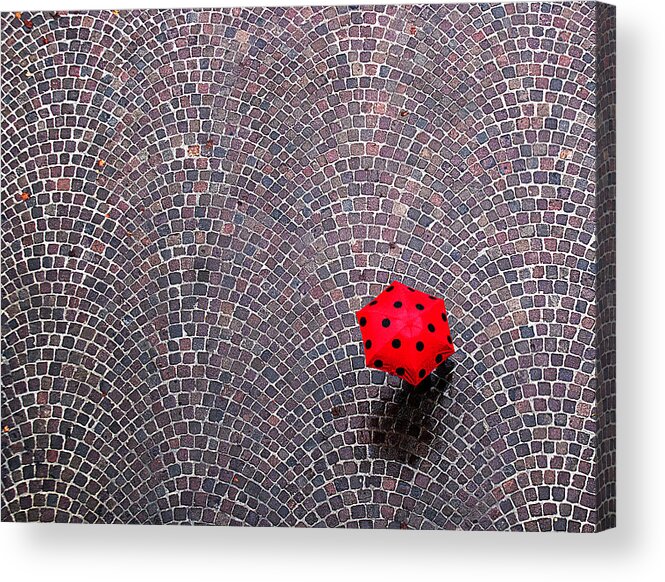 Polka Dots Acrylic Print featuring the photograph Urban Ladybug by Franco Maffei