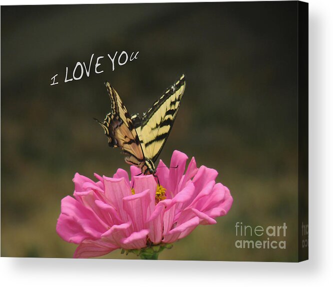 Valentine Acrylic Print featuring the pyrography Valentine Zinnia and the Swallowtail by Debby Pueschel