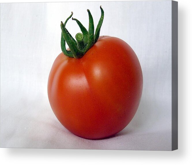 Tomatoes Acrylic Print featuring the photograph Vine Ripened by Jim Sauchyn