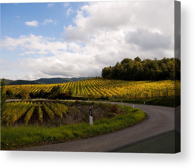 Tuscany Acrylic Print featuring the photograph Vineyard Glow by Rae Tucker