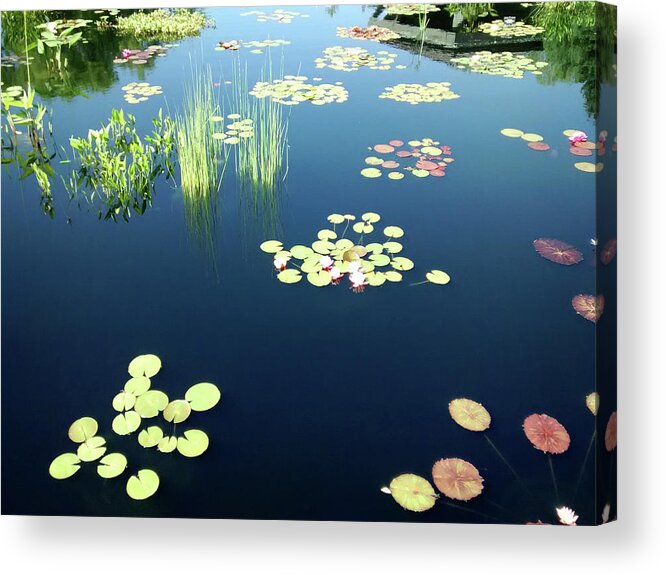 Water Acrylic Print featuring the photograph Water Lilies by Marilyn Hunt