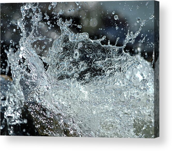 Wake Acrylic Print featuring the photograph Waves by JT Lewis