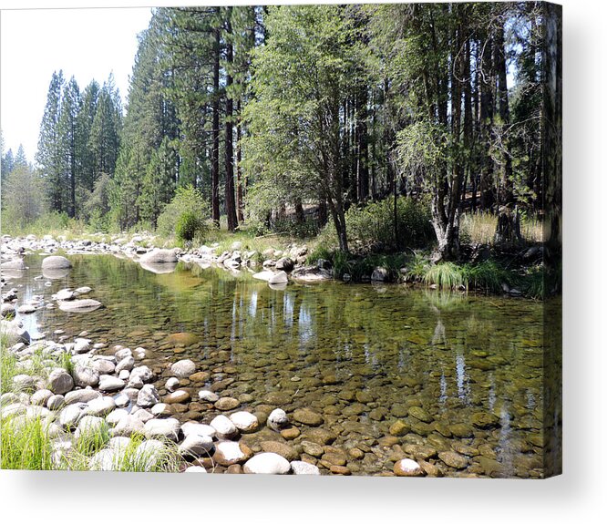 Wawona Acrylic Print featuring the photograph Wawona 3 by Eric Forster