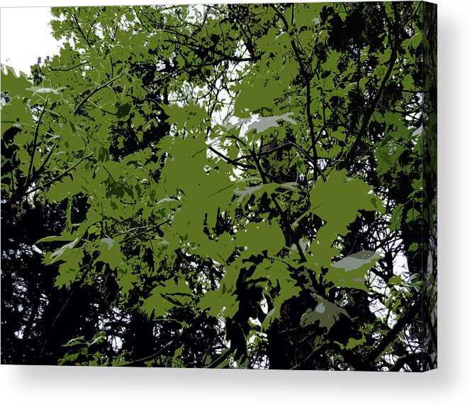 Wawona Acrylic Print featuring the digital art Wawona Growth Abstract by Eric Forster