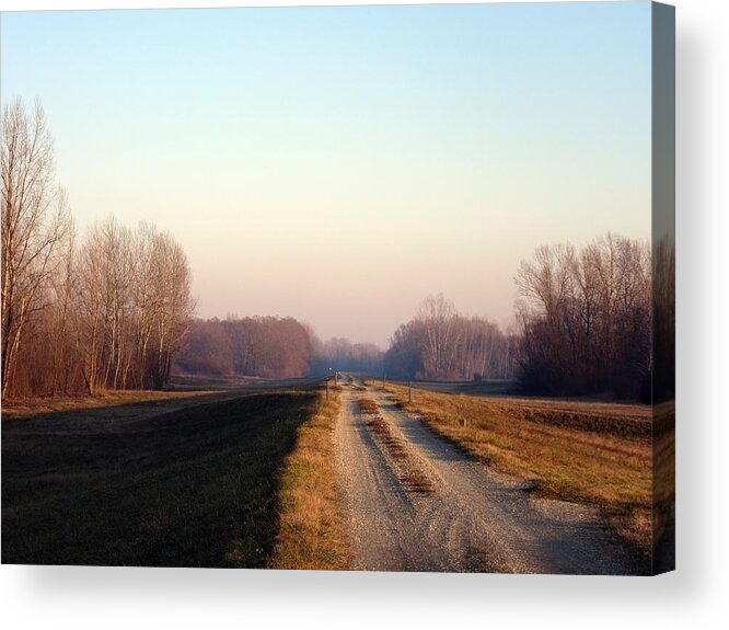 Path Acrylic Print featuring the photograph Way to go by Vesna Martinjak