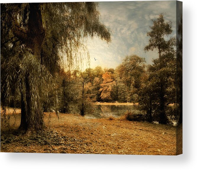 Nature Acrylic Print featuring the photograph Weeping Willow by Jessica Jenney