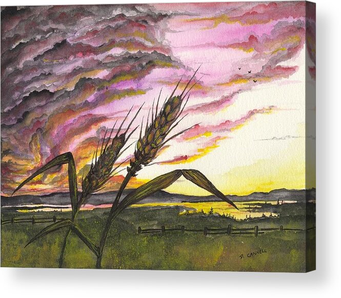 Wheat Acrylic Print featuring the painting Wheat field by Darren Cannell