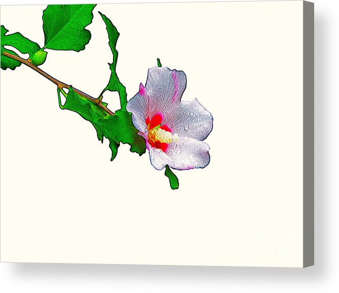 White Flower And Leaves A The Art Artist Artistic Plant Plants Leaf Branch Twig Pistol Craig Walters Photo Photograph Photographic Photo-art Photoart Acrylic Print featuring the digital art White Flower and Leaves by Craig Walters