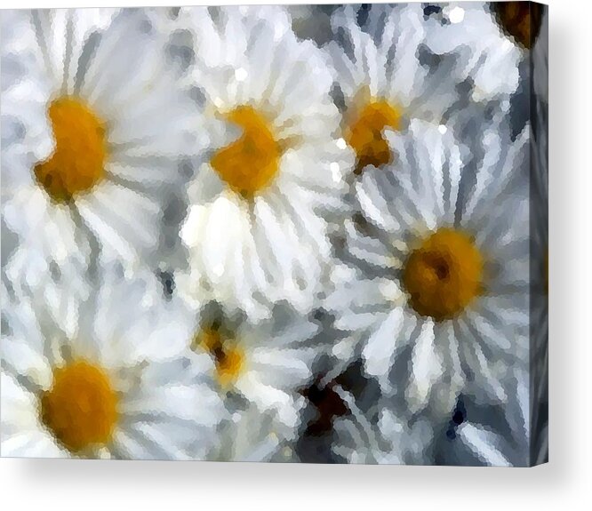 White Acrylic Print featuring the photograph White Flower Memories by Rodger Mansfield