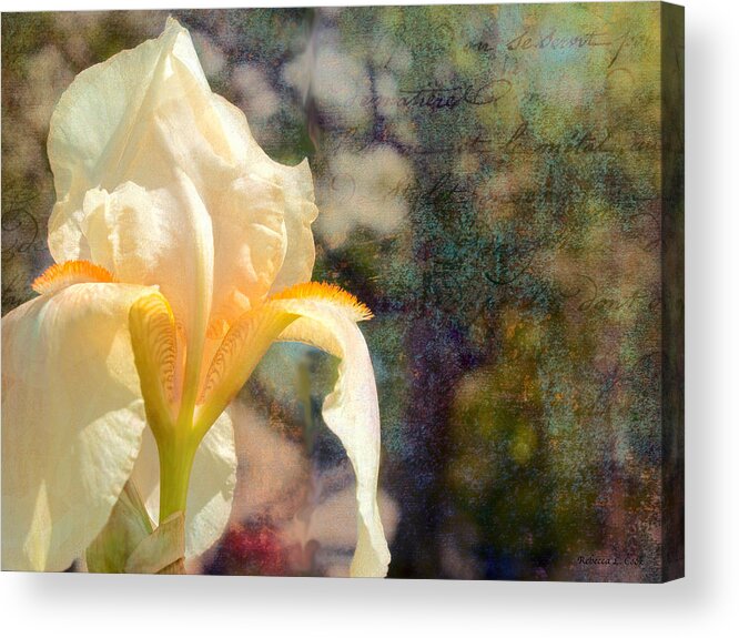 White Iris Acrylic Print featuring the photograph White Iris by Bellesouth Studio