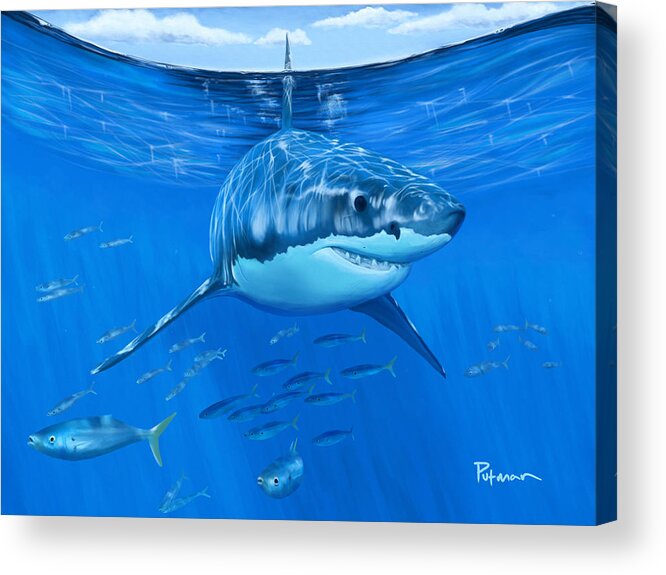 Great White Shark Acrylic Print featuring the digital art White Stalking by Kevin Putman