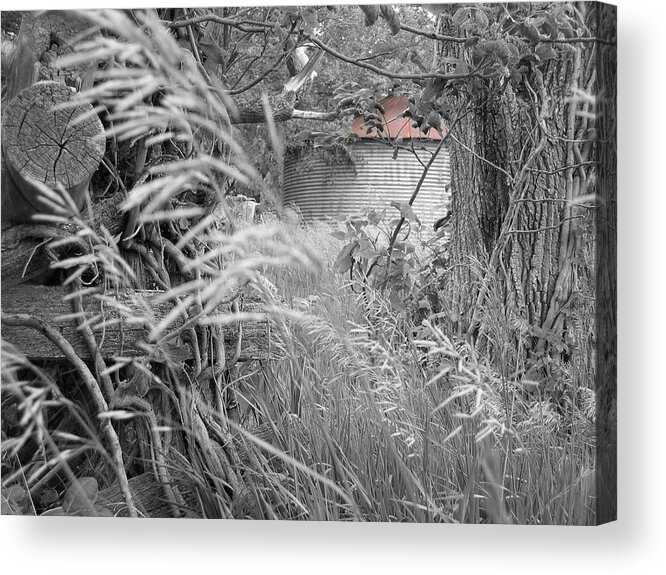 Landscape Acrylic Print featuring the photograph Wilbur's Bin II by Dylan Punke