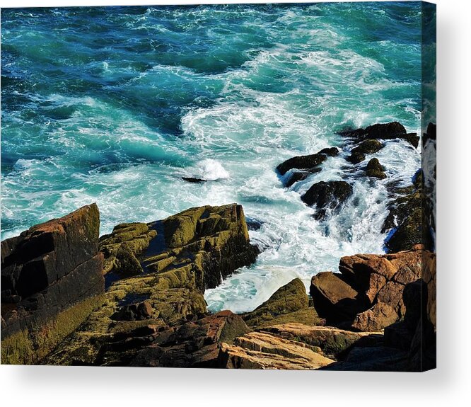 Rockport Acrylic Print featuring the photograph Wild Shore by Lisa Dunn