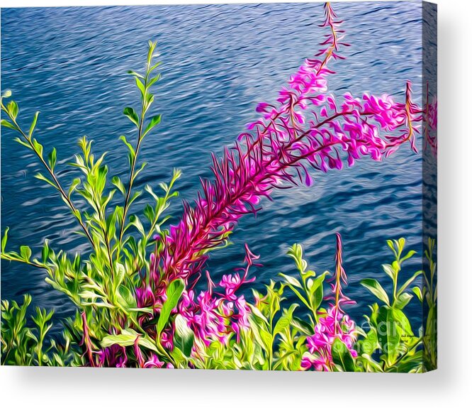 Art Acrylic Print featuring the photograph Wildflowers by the Bay by DB Hayes