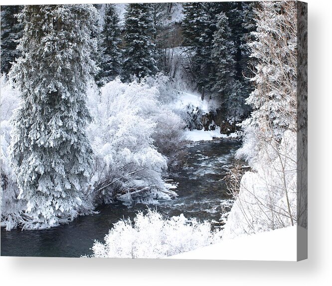 Trees Acrylic Print featuring the photograph Winter Along The Creek by DeeLon Merritt