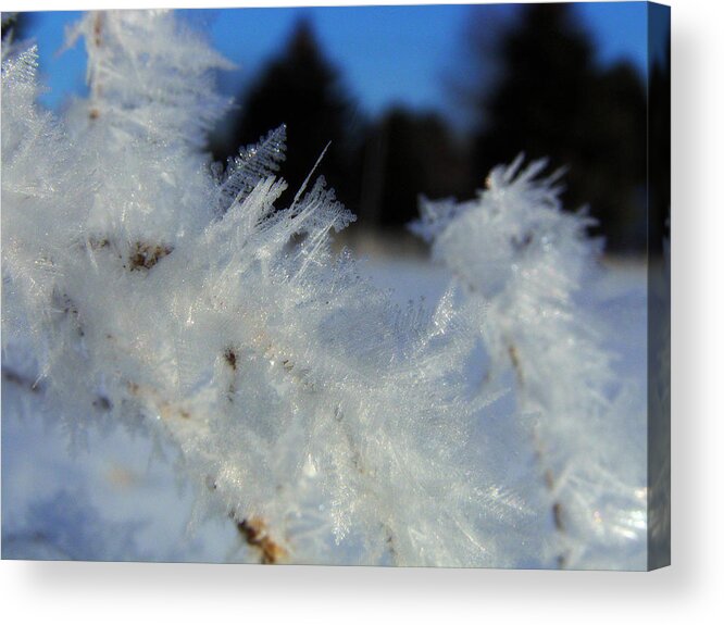 Winter Acrylic Print featuring the photograph Winter Frost 3 by Scott Hovind