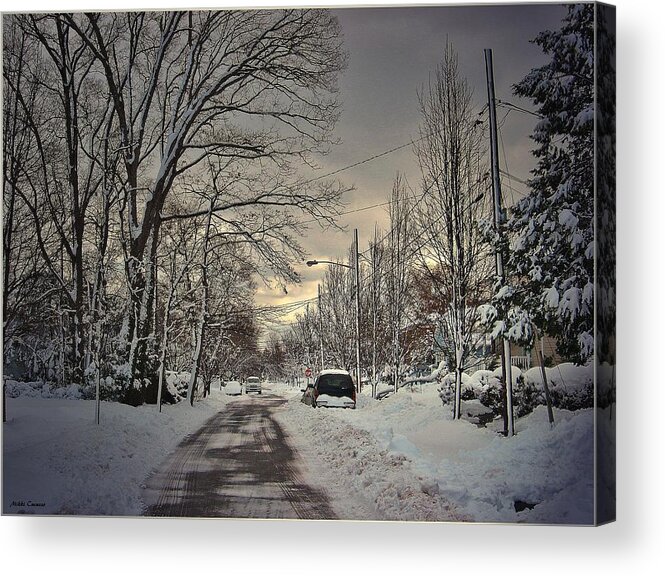 Snow Acrylic Print featuring the digital art Winter Landscape by Mikki Cucuzzo