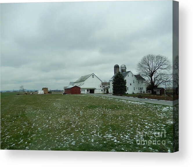 Amish Acrylic Print featuring the photograph Winter Letting Go by Christine Clark