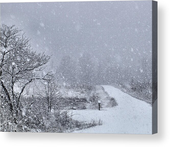 Snow Acrylic Print featuring the photograph Winter Mail by Lin Grosvenor