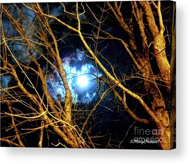 Photograph Acrylic Print featuring the photograph Winter Night Sky by MaryLee Parker
