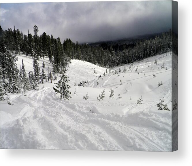 Snow Acrylic Print featuring the photograph Winter Playground by Meagan Visser