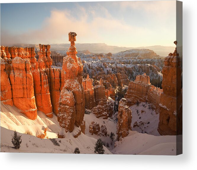 Bryce Canyon Acrylic Print featuring the photograph Winter Wonderland by Emily Dickey