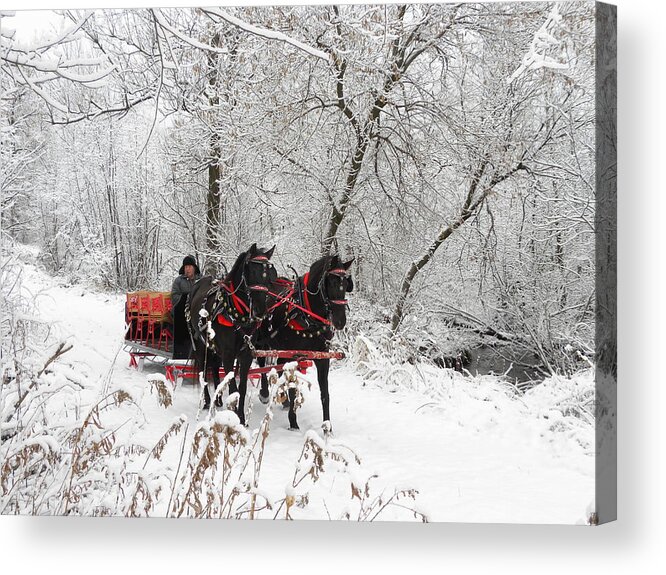 Horses Acrylic Print featuring the photograph Winter Wonderland by Peggy McDonald