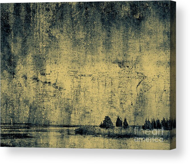 Texture Acrylic Print featuring the photograph Winters Silence by Dana DiPasquale