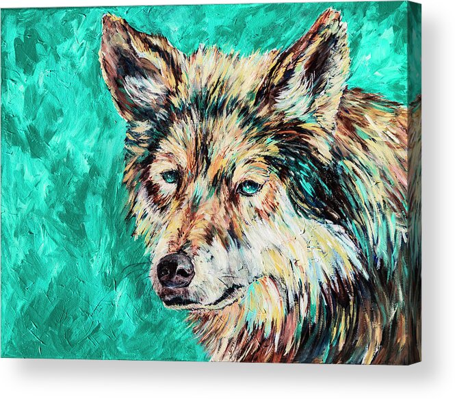 Wolf Acrylic Print featuring the painting Wolf in Turquoise by Sally Quillin