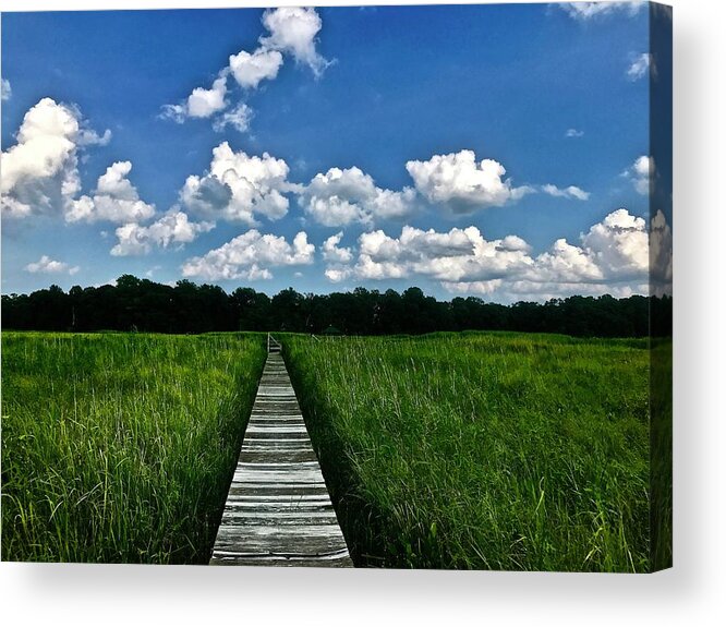 Marsh Acrylic Print featuring the photograph Wood across the Marsh by Shawn M Greener
