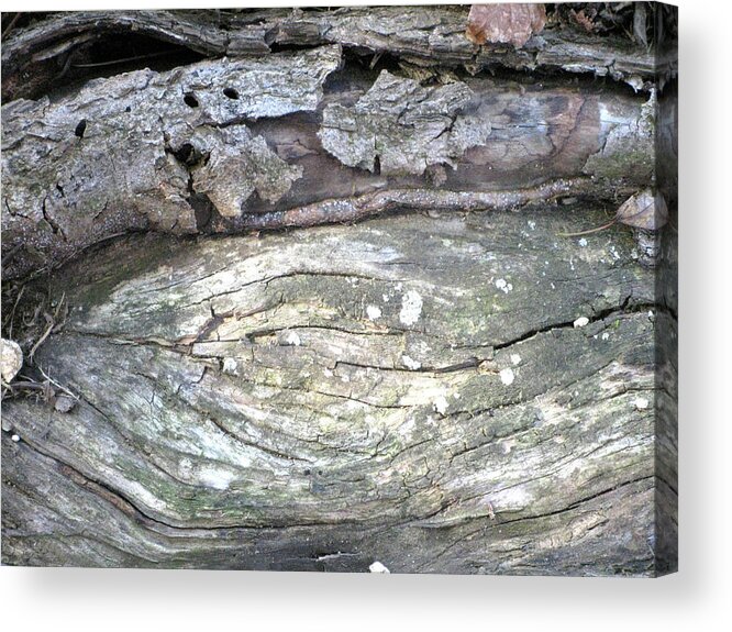 Wood Acrylic Print featuring the photograph Wood Knot by Michele Wilson