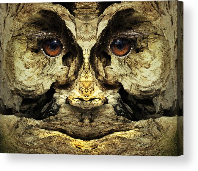 Wood Acrylic Print featuring the digital art Woody 123 by Rick Mosher