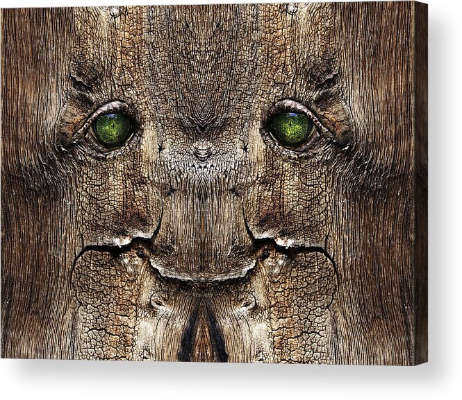 Wood Acrylic Print featuring the digital art Woody 62 by Rick Mosher
