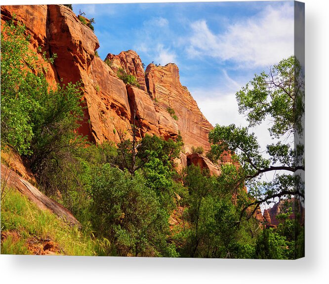 Blue Acrylic Print featuring the photograph Zion National Park 1 by Penny Lisowski