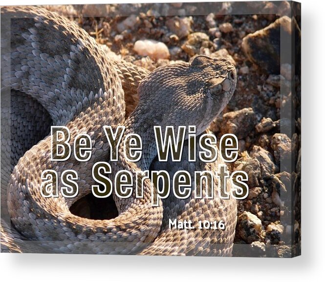 Adage Acrylic Print featuring the photograph Be Ye Wise as Serpents by Judy Kennedy