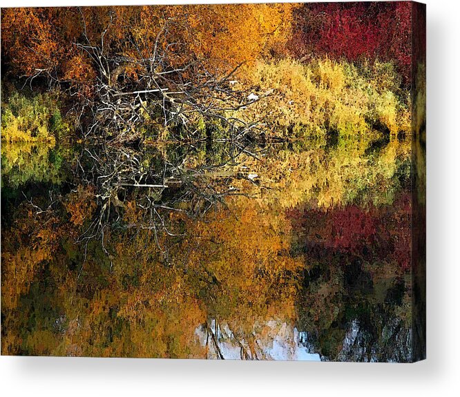 Kootenai Acrylic Print featuring the photograph Fall Color #1 by Robert Bissett