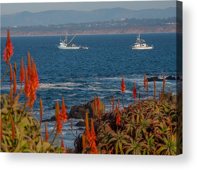 Fishing Boats Acrylic Print featuring the photograph Fishing On The Bay #1 by Derek Dean
