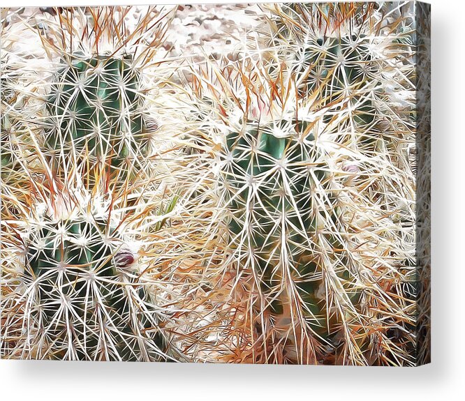 Prickly Protection Acrylic Print featuring the mixed media Prickly Protection #1 by Leslie Montgomery