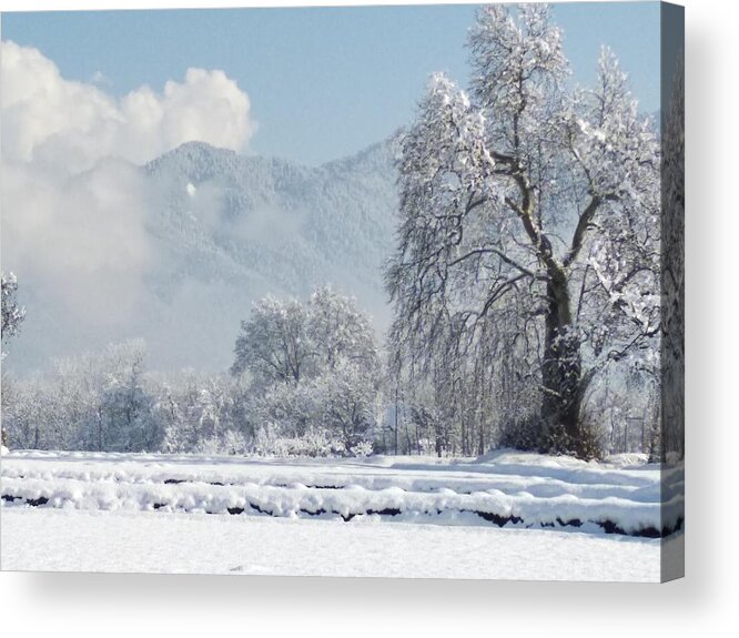  Acrylic Print featuring the photograph The Snow Story by Jacob