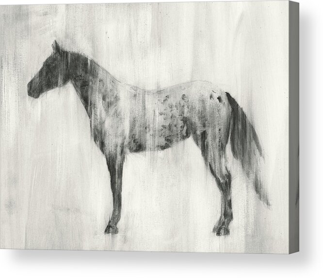 Western Acrylic Print featuring the painting Appaloosa Study II #2 by Ethan Harper