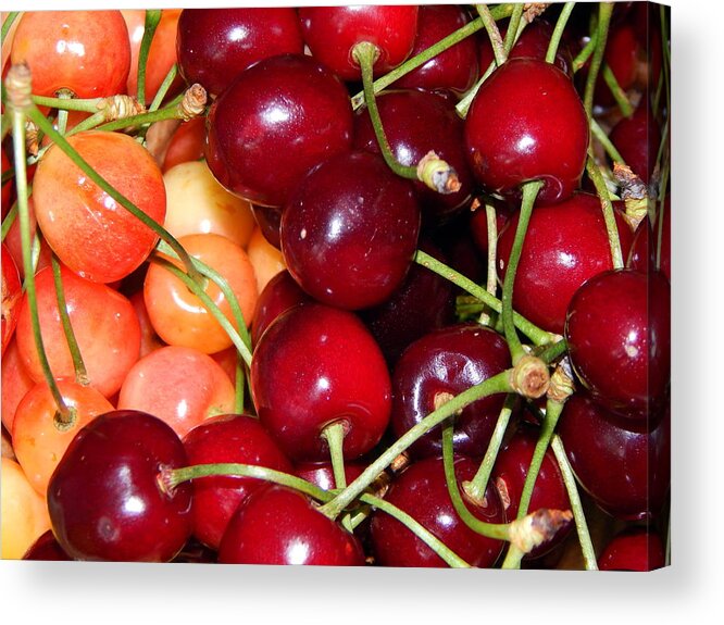 Food Acrylic Print featuring the photograph Still life of fruit in various compositions, cherry #2 by Oleg Prokopenko