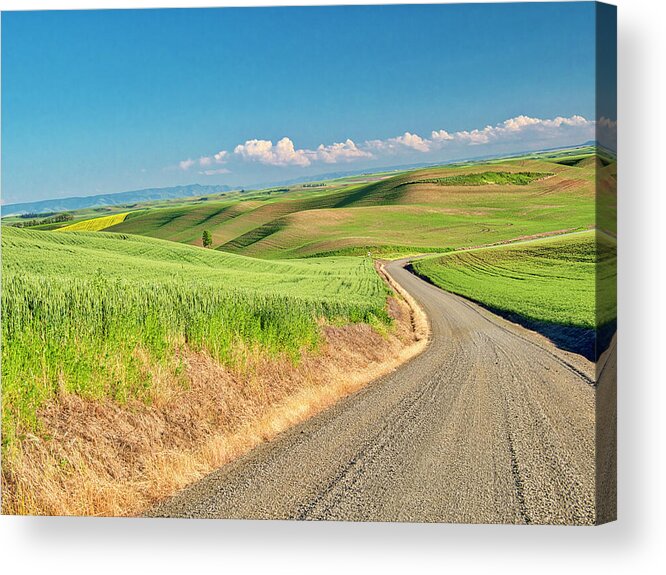 Backroad Acrylic Print featuring the photograph USA, Washington State, Palouse Region #66 by Terry Eggers