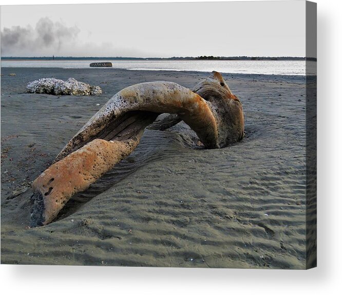 Weipa Acrylic Print featuring the photograph A twisted turning sculpture of drift wood by Joan Stratton