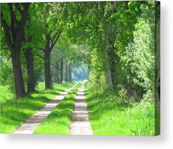 Walk Acrylic Print featuring the painting A walk through Winsen Luhe by Patricia Piotrak