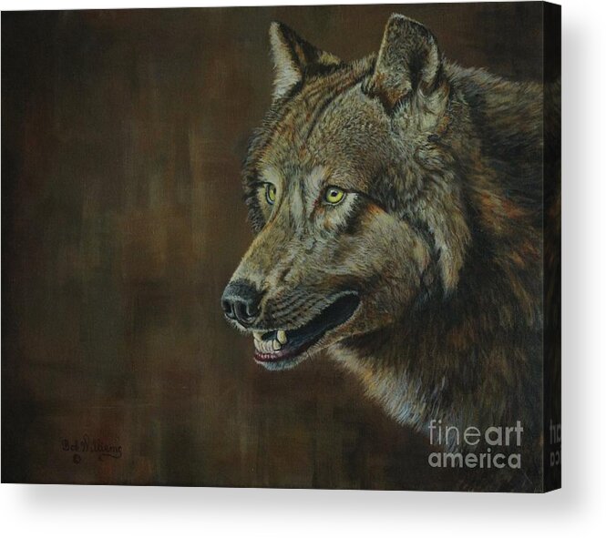 Wolf Acrylic Print featuring the painting Alpha Male ......The Gray Wolf by Bob Williams